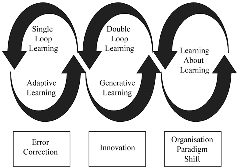Single-loop and double-loop models in research on decision